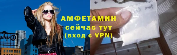 амф Верхний Тагил