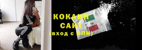 амф Верхний Тагил