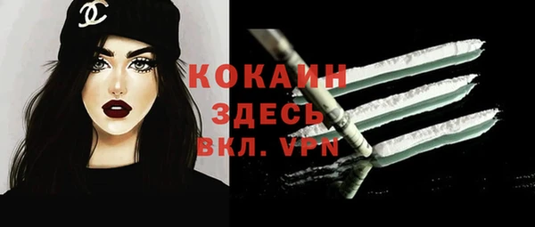 амф Верхний Тагил