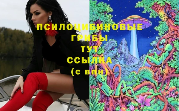 крисы Верея