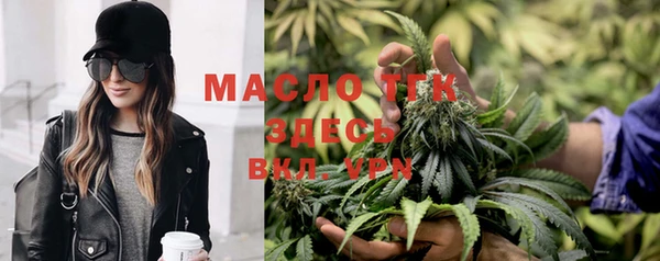 амф Верхний Тагил
