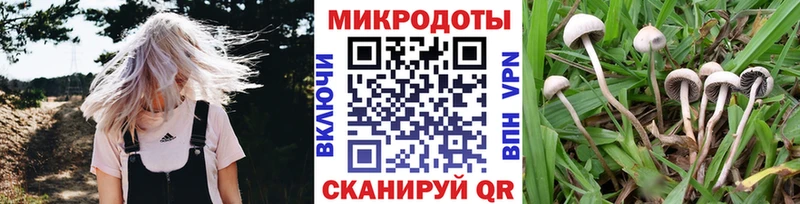 Галлюциногенные грибы Cubensis  что такое наркотик  Рыбинск 